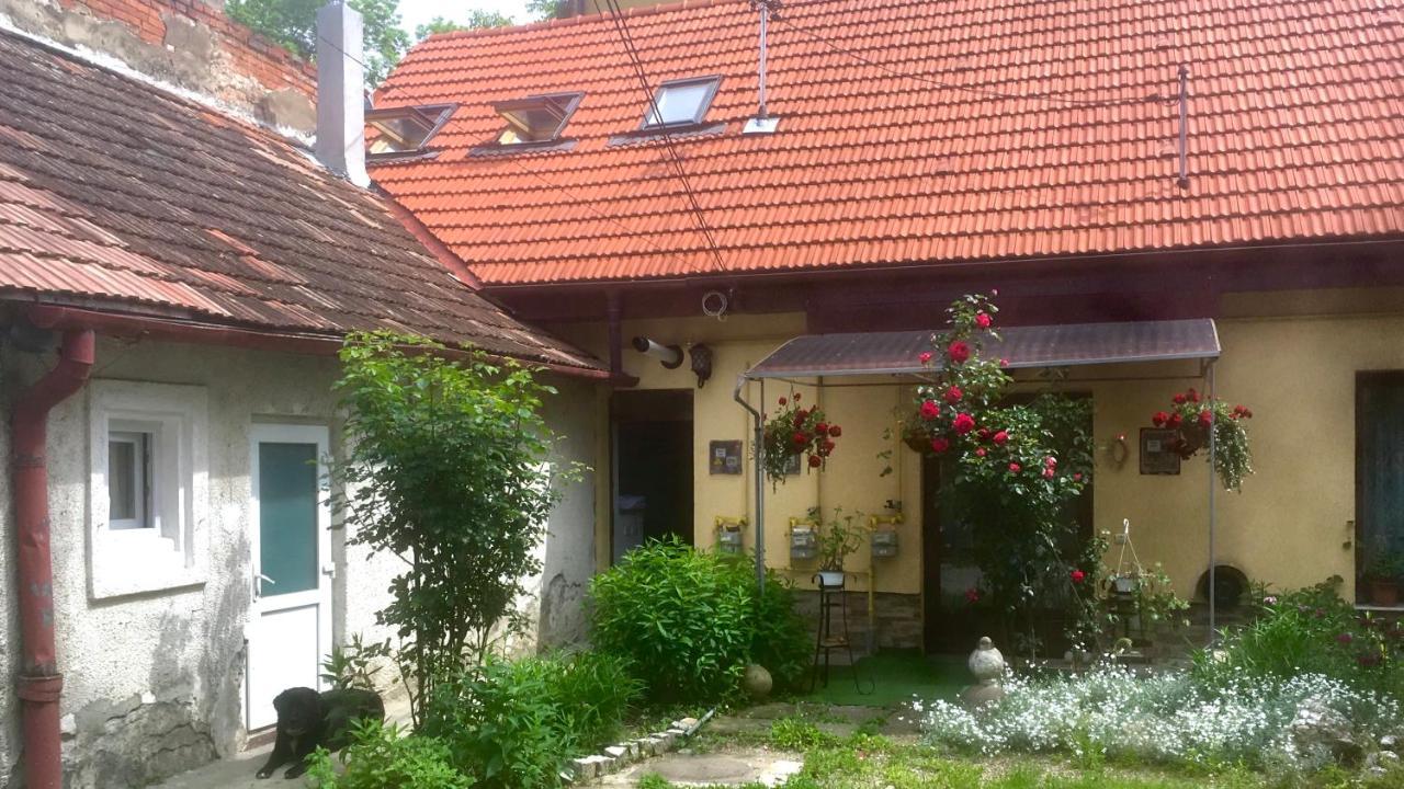 Central Apartment- Shumi'S Cluj-Napoca Ngoại thất bức ảnh